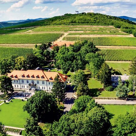 Castle Hotel Grof Degenfeld Superior Тарцаль Экстерьер фото