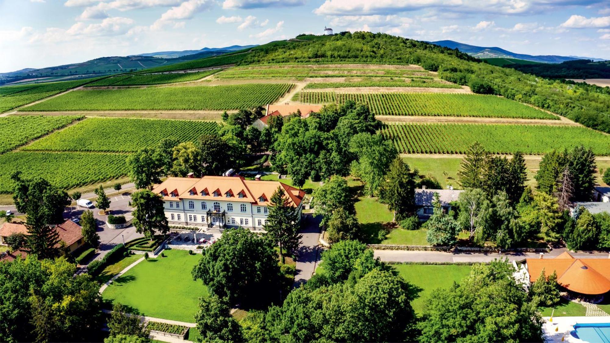 Castle Hotel Grof Degenfeld Superior Тарцаль Экстерьер фото